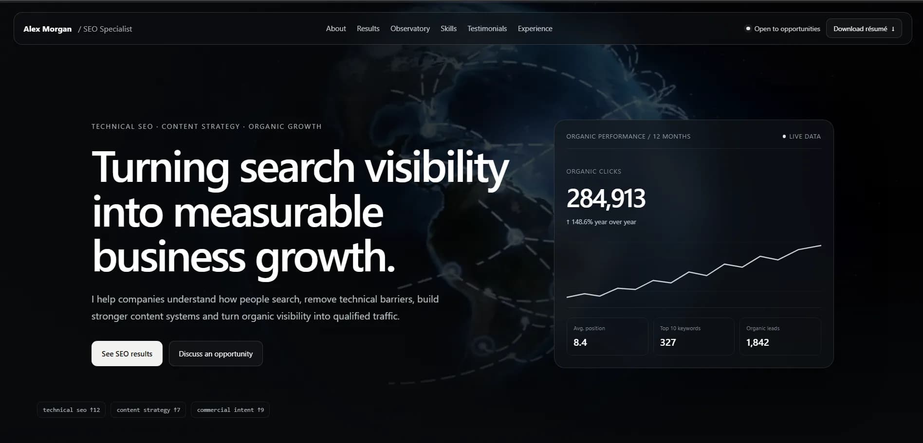 SEO specialist portfolio portfolio template preview