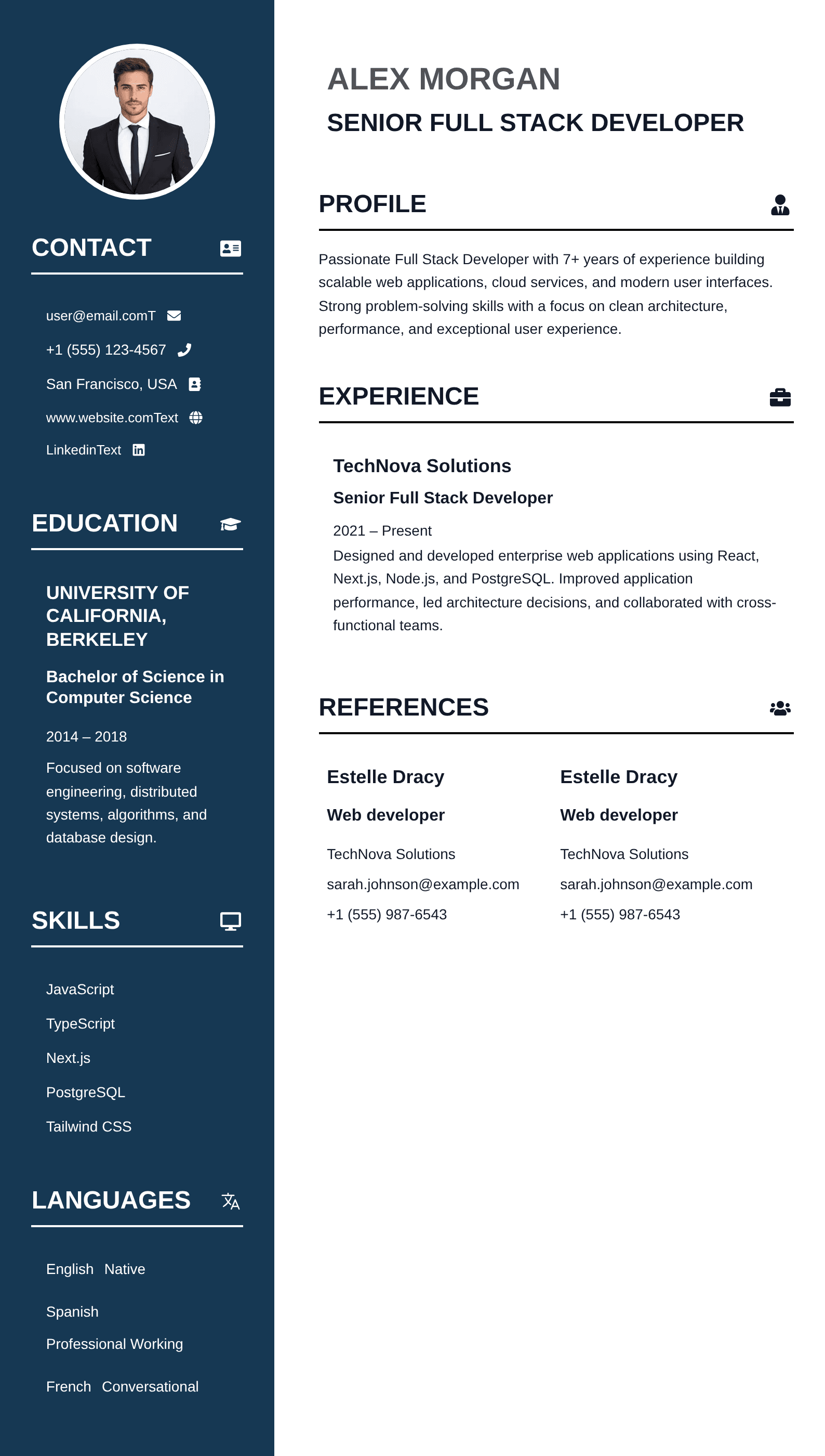 Modern Professional Resume resume template preview