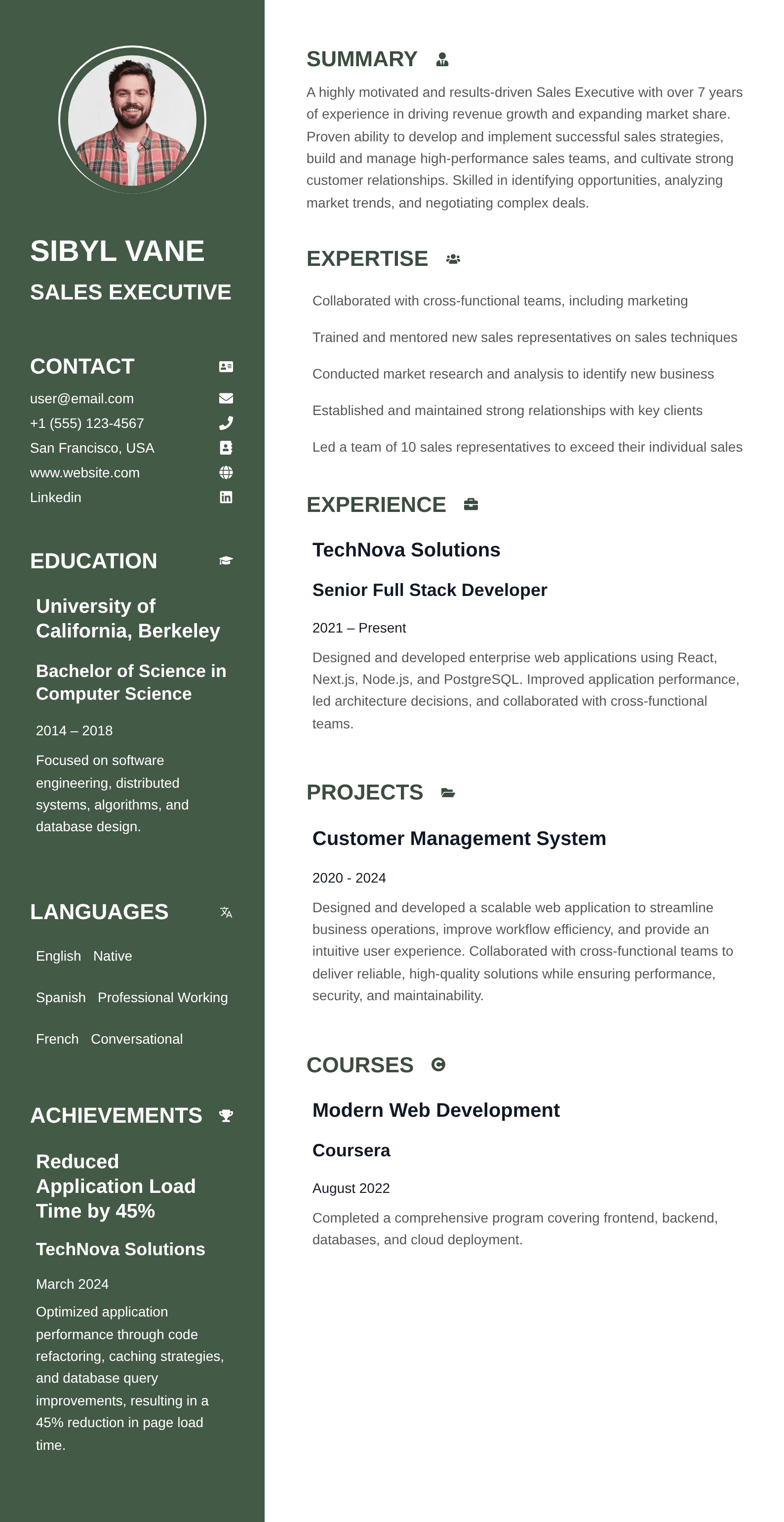 Executive Horizon resume template preview