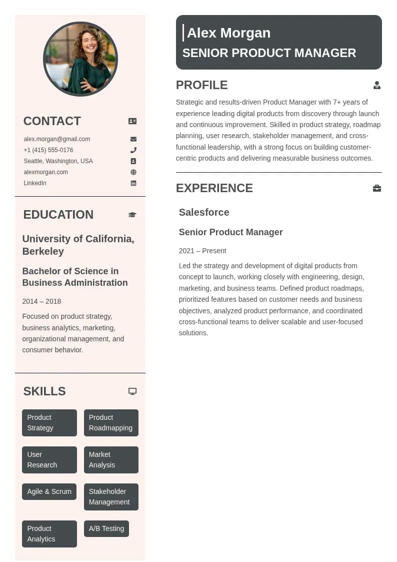 Senior Product Manager Resume resume template preview