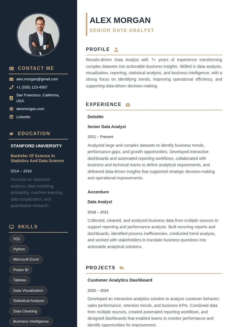 Data Analyst Resume resume template preview